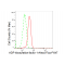 KD-Validated ARF1 Rabbit mAb (20 μl)