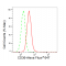 KD-Validated CD36 Rabbit mAb (20 μl)