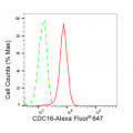 KD-Validated CDC16 Rabbit mAb (20 μl)