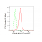 KD-Validated CDC40 Rabbit mAb (20 μl)