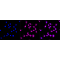 KD-Validated CDC23 Rabbit mAb (20 μl)
