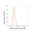 KD-Validated ABCG2 Rabbit mAb (20 μl)