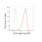 KD-Validated CTCF Rabbit mAb (20 μl)