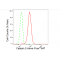 KD-Validated CAPN2 Rabbit mAb (20 μl)