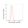 KD-Validated EOGT Rabbit mAb (20 μl)