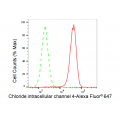 KD-Validated CLIC4 Rabbit mAb (20 μl)