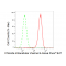 KD-Validated CLIC4 Rabbit mAb (20 μl)
