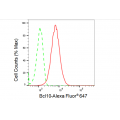 KD-Validated BCL10 Rabbit mAb (20 μl)
