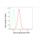 KD-Validated BCL10 Rabbit mAb (20 μl)