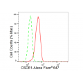 KD-Validated CSDE1 Rabbit mAb (20 μl)