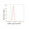 KD-Validated CSDE1 Rabbit mAb (20 μl)