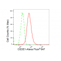 KD-Validated CSDE1 Rabbit mAb (20 μl)