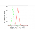 KD-Validated CSE1L Rabbit mAb (20 μl)