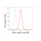 KD-Validated CSE1L Rabbit mAb (20 μl)
