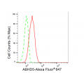 KD-Validated ABHD5 Rabbit mAb (20 μl)