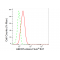 KD-Validated ABHD5 Rabbit mAb (20 μl)