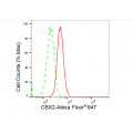 KD-Validated CBX2 Rabbit mAb (20 μl)