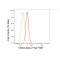 KD-Validated CBX2 Rabbit mAb (20 μl)