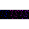 KD-Validated CBX2 Rabbit mAb (20 μl)