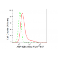 KD-Validated ANP32B Rabbit mAb (20 μl)