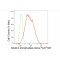 KD-Validated ALPI Rabbit mAb (20 μl)