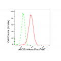 KD-Validated ABCE1 Rabbit mAb (20 μl)