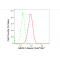 KD-Validated ABCE1 Rabbit mAb (20 μl)