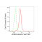 KD-Validated ACBD3 Rabbit mAb (20 μl)