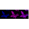KD-Validated ACBD3 Rabbit mAb (20 μl)