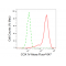 KD-Validated COX IV Rabbit mAb (20 μl)