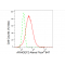 KD-Validated ARHGEF2 Rabbit mAb (20 μl)