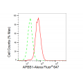 KD-Validated APBB1 Rabbit mAb (20 μl)