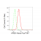 KD-Validated APBB1 Rabbit mAb (20 μl)