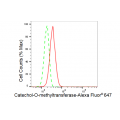 KD-Validated COMT Rabbit mAb (20 μl)