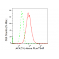 KD-Validated ACADVL Rabbit mAb (20 μl)