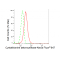 KD-Validated CBS Rabbit mAb (20 μl)