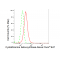 KD-Validated CBS Rabbit mAb (20 μl)