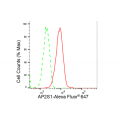 KD-Validated AP2S1 Rabbit mAb (20 μl)