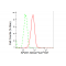 KD-Validated AP2S1 Rabbit mAb (20 μl)