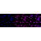 KD-Validated AP2S1 Rabbit mAb (20 μl)