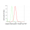 KD-Validated CAPNS1 Rabbit mAb (20 μl)
