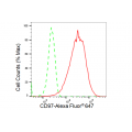KD-Validated CD97 Rabbit mAb (20 μl)