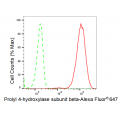 KD-Validated PDIA1 Rabbit mAb (20 μl)