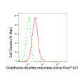 KD-Validated GSR Rabbit mAb (20 μl)