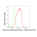 KD-Validated HSF1 Rabbit mAb (20 μl)