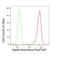 KD-Validated Hsp90 beta Rabbit mAb (20 μl)