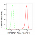 KD-Validated Hsp90 beta Rabbit mAb (20 μl)