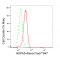 KD-Validated HSPA5 Rabbit mAb (20 μl)