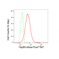 KD-Validated Hsp60 Rabbit mAb (20 μl)