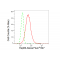 KD-Validated Hsp60 Rabbit mAb (20 μl)